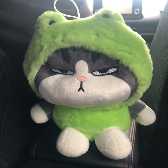 🐈 Kawaii Grumpy Cat Plush in Frog Hoodie Soft Stuffed Animal Toy 7” Cute Lovely - Picture 3 of 3